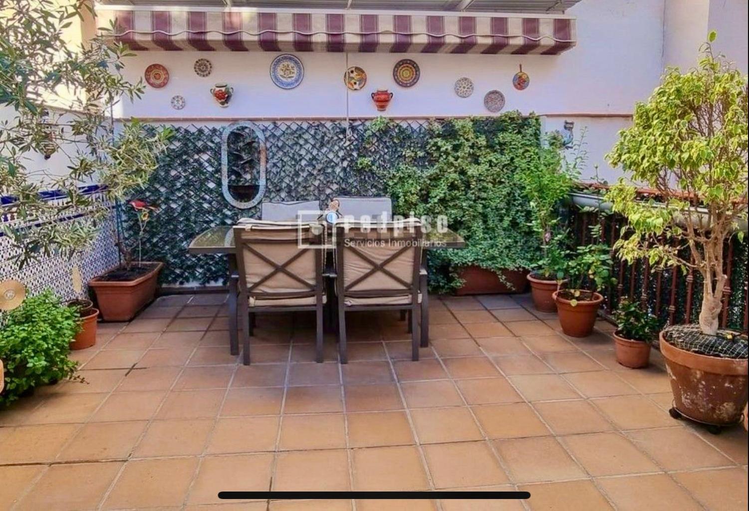 Maravilloso Apartamento Centrico De 70M2, Jardin Propio 40M2 Con Piscina Para Ninos Y Parking Opcional Málaga Esterno foto