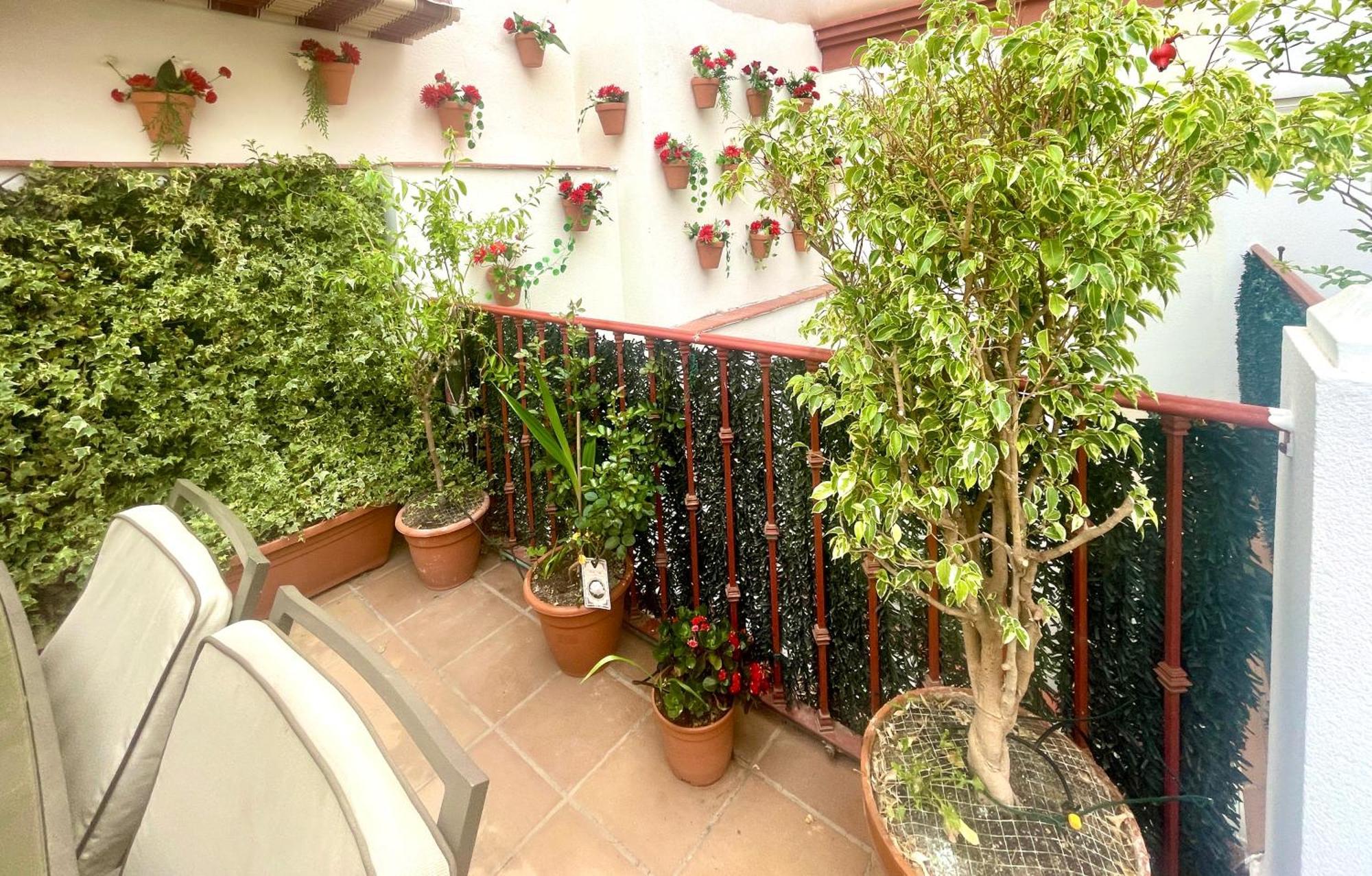 Maravilloso Apartamento Centrico De 70M2, Jardin Propio 40M2 Con Piscina Para Ninos Y Parking Opcional Málaga Esterno foto