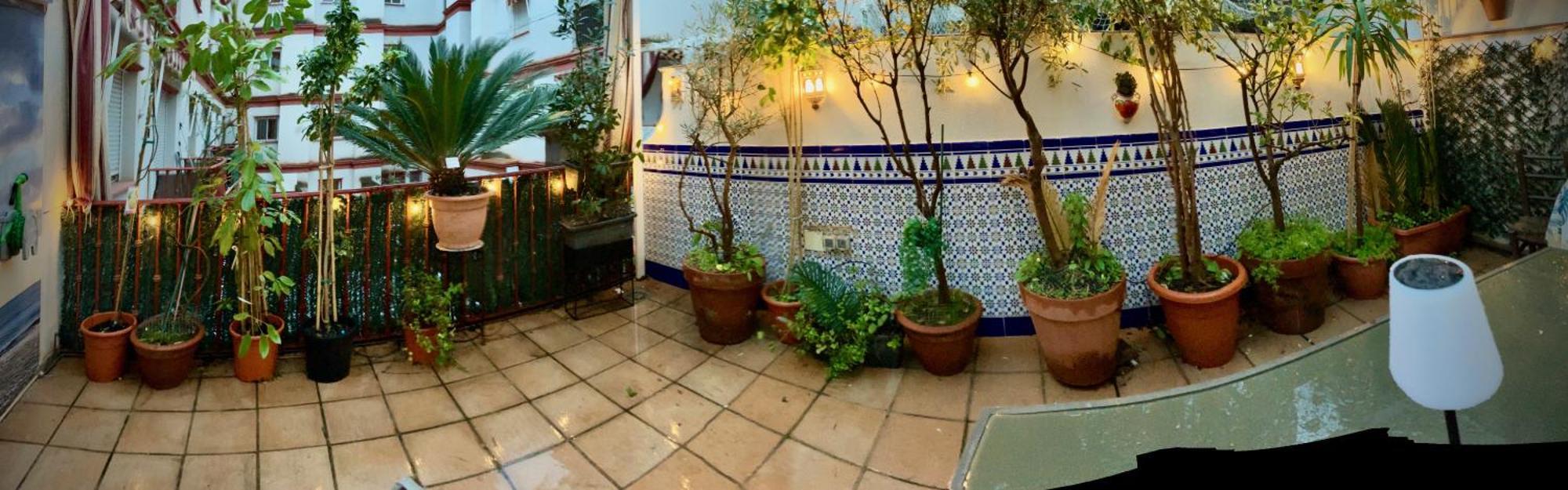 Maravilloso Apartamento Centrico De 70M2, Jardin Propio 40M2 Con Piscina Para Ninos Y Parking Opcional Málaga Esterno foto